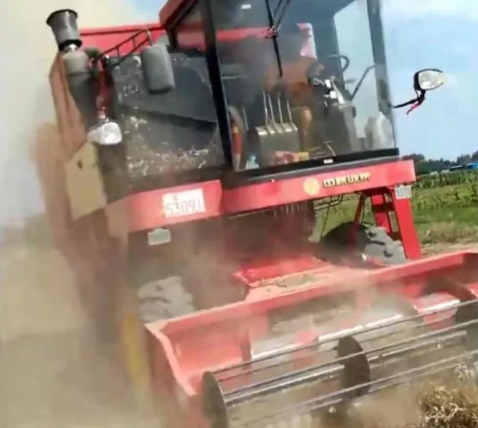 1583475024387341.jpg 7.jpg