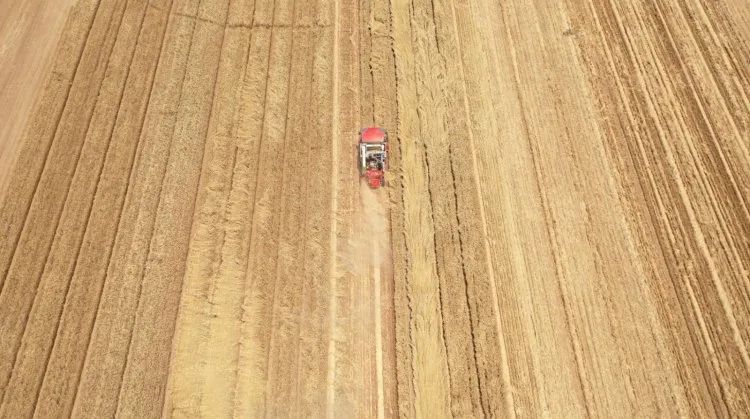 1680093446609399.jpg 329-5.jpg