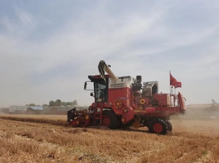 1680093468565628.jpg 329-9.jpg