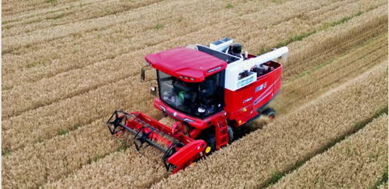 青島平度滿書山:“牛人”開“牛車” 中聯(lián)收獲哪都好(圖2) 640.png